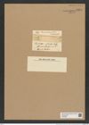 Chaetoceros rostratus Land. (de-Toni-Nr.: Genus 149, Species 4137) Zeichnungen Sammlung Grunow Nr. 7694 (NHMW-BOT-W0376895)
